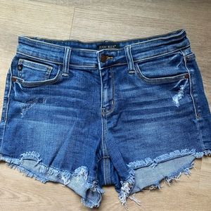 Judy Blue size medium denim shorts